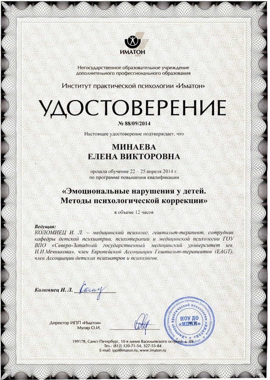 Документ об образовании — Минаева Елена Викторовна, 15