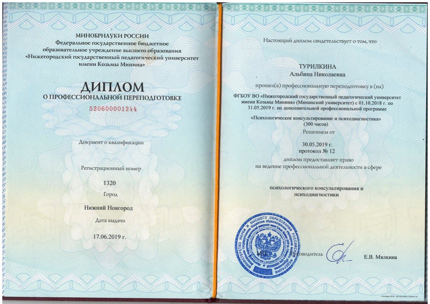 Документ об образовании — Турилкина Альбина Николаевна, 1